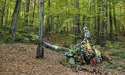 «За ніч радянську катівню у Брюховичах зрівняли із землею...»