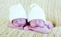 Закарпатські двійні встановили рекорд!