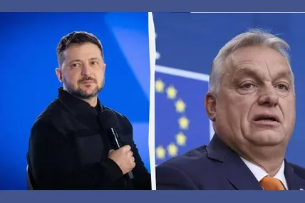 Володимир Зеленський Віктор Орбан. Фото: УНІАН