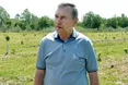 На малородючій ділянці висадив фундук