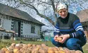Дачниця випробувала понад дві тисячі сортів картоплі