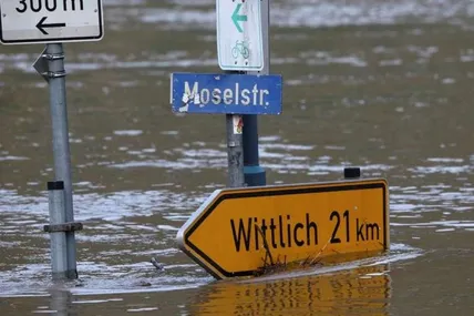Фото: Die Welt