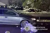 На Львівщині водій автомобіля збив чоловіка: постраждалого госпіталізували