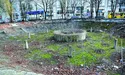 На місці скверу — бензозаправка?