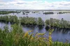 В річці Десна на Чернігівщині фіксують замор риби
