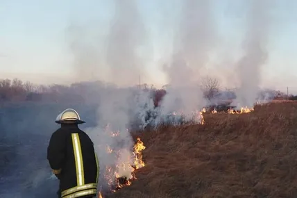 На Львівщині лише за минулу добу ліквідували 70 пожеж сухої трави
