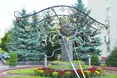 Серце-дерево «виросло» у Рівному