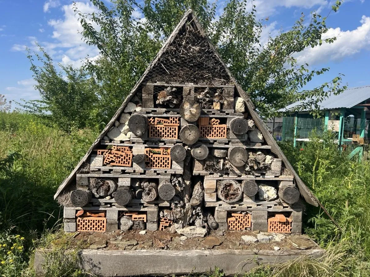Готель для комах