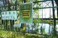 На Волині висихають Оконські джерела, де вирощують форель