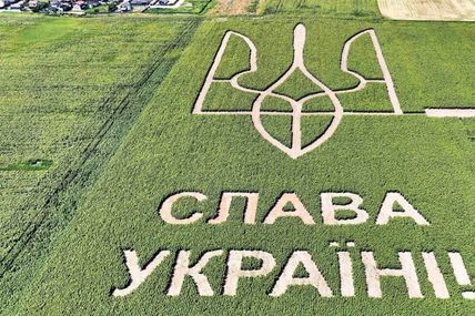 &laquo;З дрона добре видно блакитне небо і жовтий соняшник&raquo;