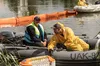 У Києві четверту добу ліквідовують наслідки забруднення озера Кирилівського після російського обстрілу