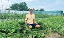 «Ягідний пан» вирощує «Ягідну пані»