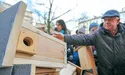 «Житлове питання» для птахів у Кракові вирішено