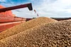 До Гази доставили першу тисячу тонн українського зерна
