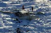 На Алясці розбився пасажирський літак — загинули 10 людей