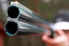 На Львівщині шукають причетних до незаконного відстрілу кабанів