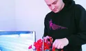 Настурція пасує до м’яса, а бегонія – до десертів