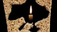 Аби хоч чимось наповнити шлунок, їла сире вишневе листя