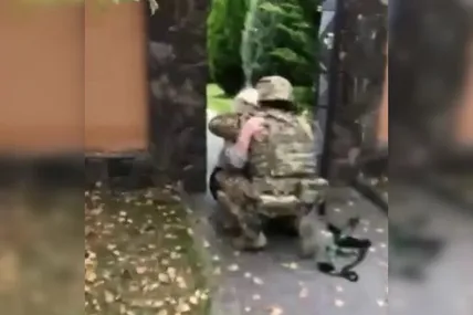 Фото - скірн з відео