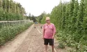 На городі - п’ять сортів квасолі