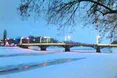 В ужгородських кафе дискутують не про політику, а про... птеродактилів