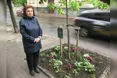 «Мій син вважав, що під час війни для нього батьків не існує. Лише Батьківщина…»