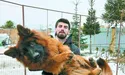 Повернення Бантика