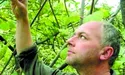 Ківі з кримінальним присмаком