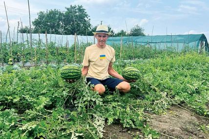 &laquo;Ягідний пан&raquo; вирощує &laquo;Ягідну пані&raquo;