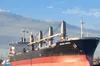 Україна зупинила експорт зерна з морських портів, — мінінфраструктури