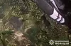 На Львівщині за добу 8 червня у ДТП загинули двоє мотоциклістів