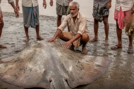 Фото: Odisha Bytes