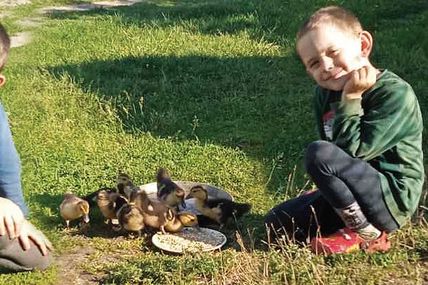 Хазяйнують на своїй землі