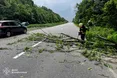 Негода накрила кілька областей України: рятувальники ліквідовували наслідки буревію