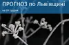 Погода на 9 грудня 2023 року у Львівській області