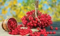 Калина зміцнить імунітет краще за ліки