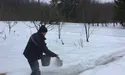 Попелом! Попелом! Або про те, як просто можна протидіяти ожеледиці