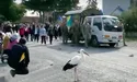 В останню дорогу воїна проводжав і лелека…