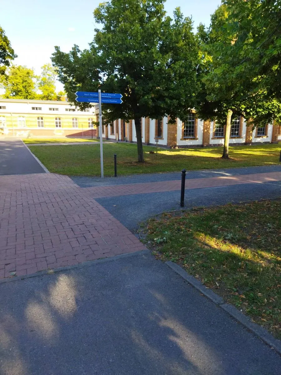 Під час прогулянки можна зустріти зайця чи оленя, але впіймати в об'єктив в не так просто. Фото Степана Буняка.