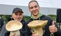 Священник написав гімн карпатським грибам