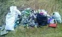 Під час толоки школярі зібрали 500 пляшок з-під горілки