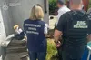На Дніпропетровщині викрили дві групи «чорних лісорубів»: збитки довкіллю оцінили у 14 млн грн