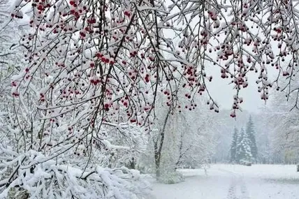 Фото ілюстративне із відкритих джерел