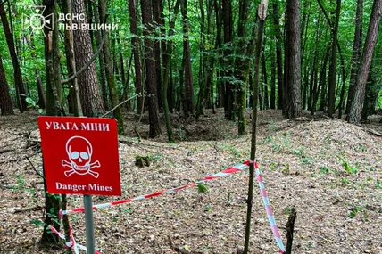 Фото: ДСНС Львівщини