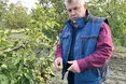 Горіхи ніколи не підводять господаря