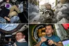NASA готує першу в історії МКС медичну евакуацію екіпажу
