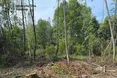 На Львівщині викрили масштабну незаконну вирубку лісу: збитки перевищили 112 млн грн