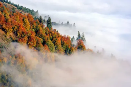 Фото умовне