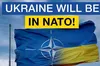 Україна повинна бути у НАТО!
