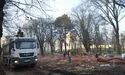 Замість дев’ятьох дерев зрубали шістнадцять